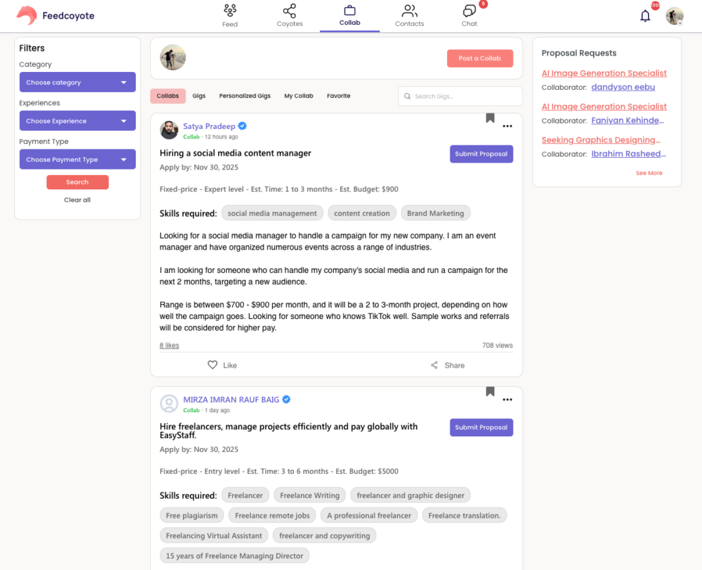 Your 7-Step Guide to Feedcoyote Profile Optimization